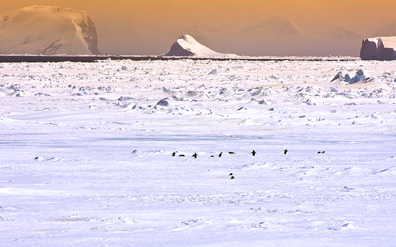 OG57 antarctica03 MAW AWM4693